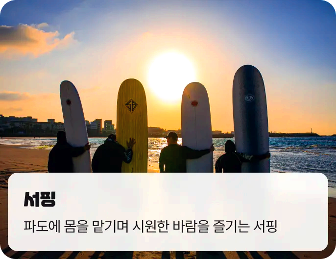 제주레저힐링축제