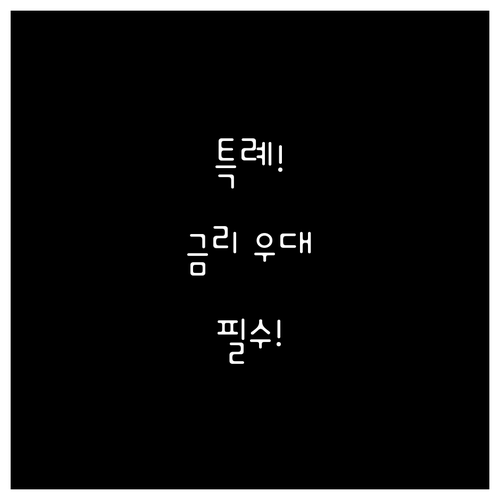 신생아 특례 디딤돌대출 금리 우대 조..