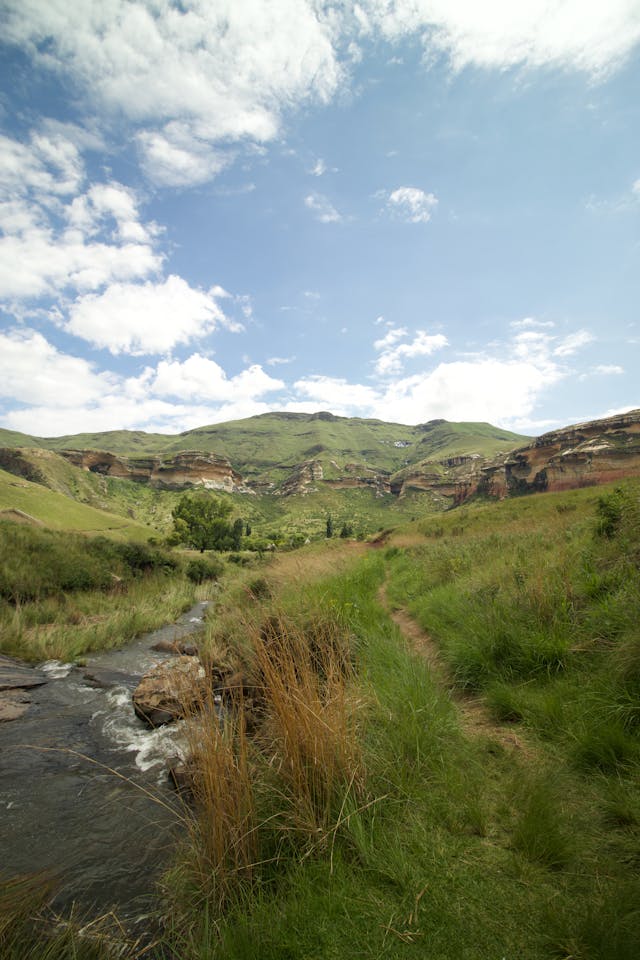 날씨 맑음 초원과 하늘