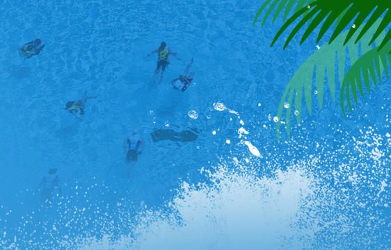 캐리비안베이 입장료 할인 및 운영시간(+주차 꿀팁)