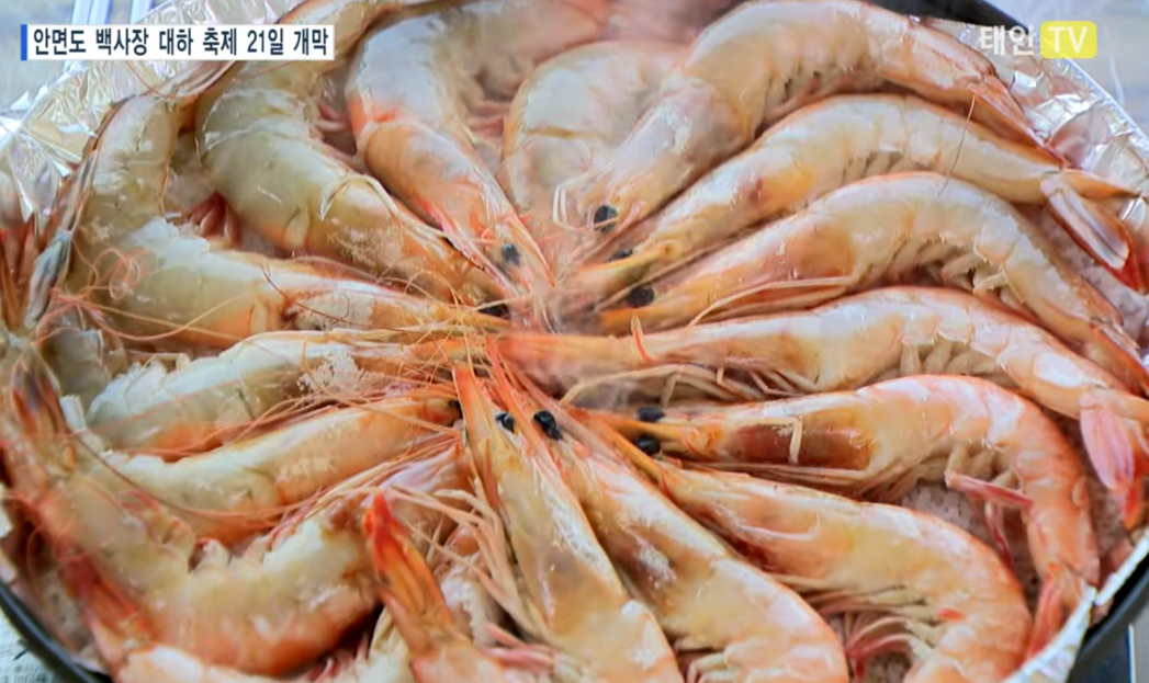 태안 안면도 대하축제 정보 안내