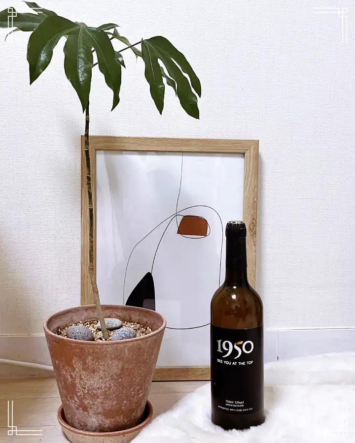 제주 조천 양조장 감귤 와인 파는 곳 전국 택배 온라인 전화 주문 추천