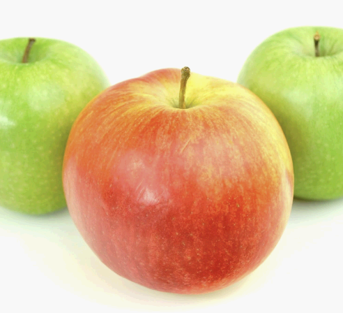 사과 펙틴 모습