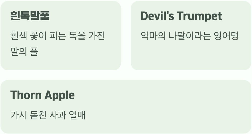 이름 속에 숨겨진 경고