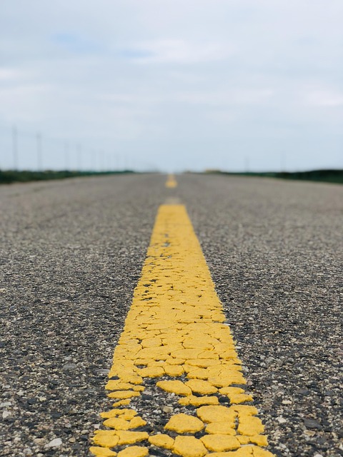 시냅스 연결 강화 훈련 실험기: 뇌가 기억을 잡는 방법