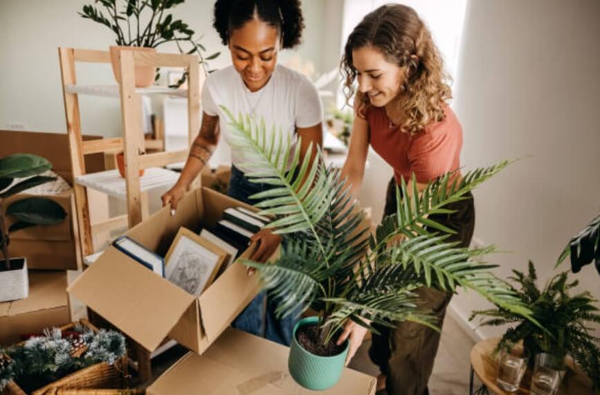 이사가는 꿈해몽