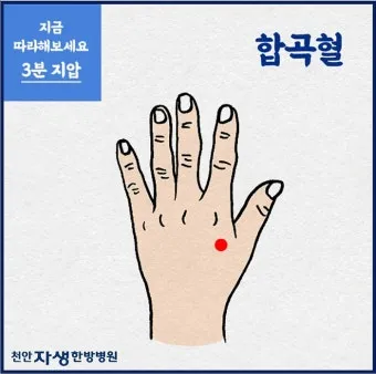 회사에서 졸릴때 잠깨는 혈자리 지압법 효과적 방법_5