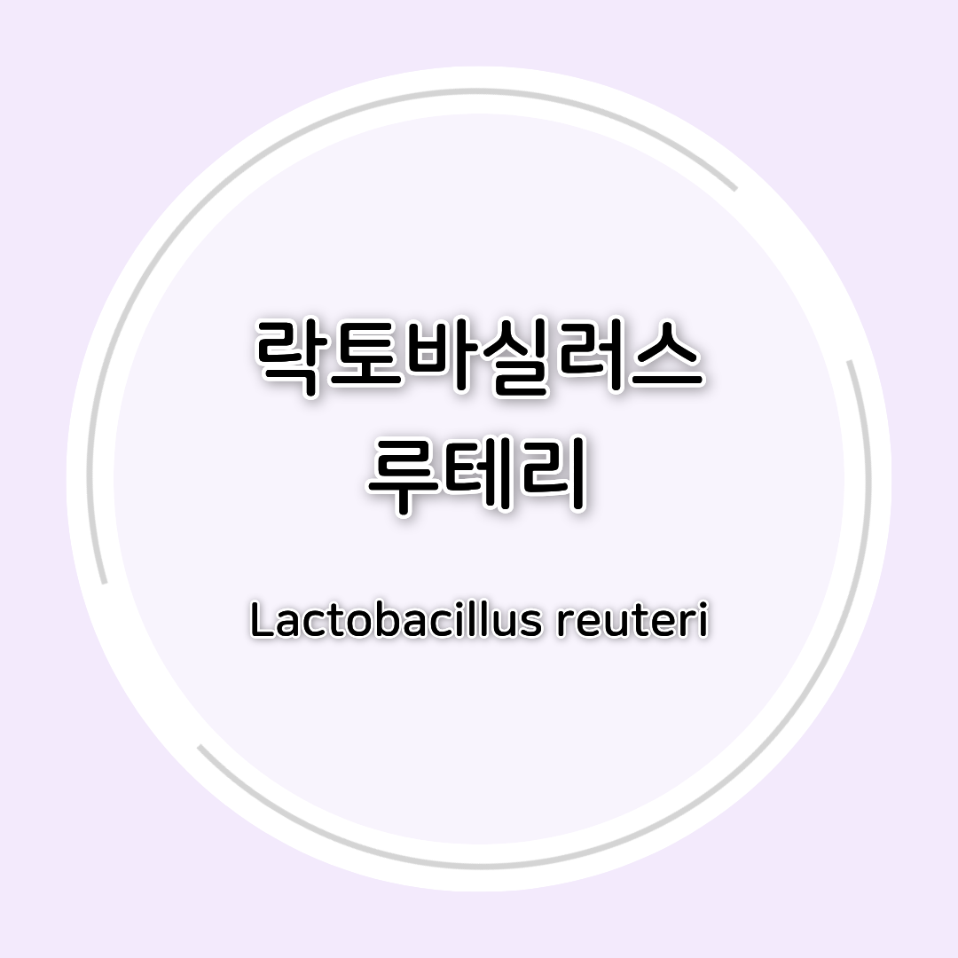 락토바실러스 루테리(Lactobacillus reuteri) 효능 총정리