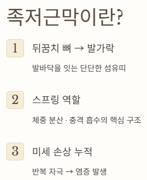 발뒤꿈치가 아픈 이유