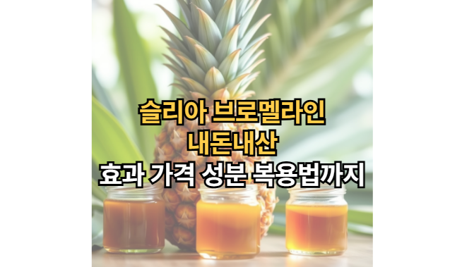 슬리아-브로멜라인-내돈내산-효과-가격-성분-복용법