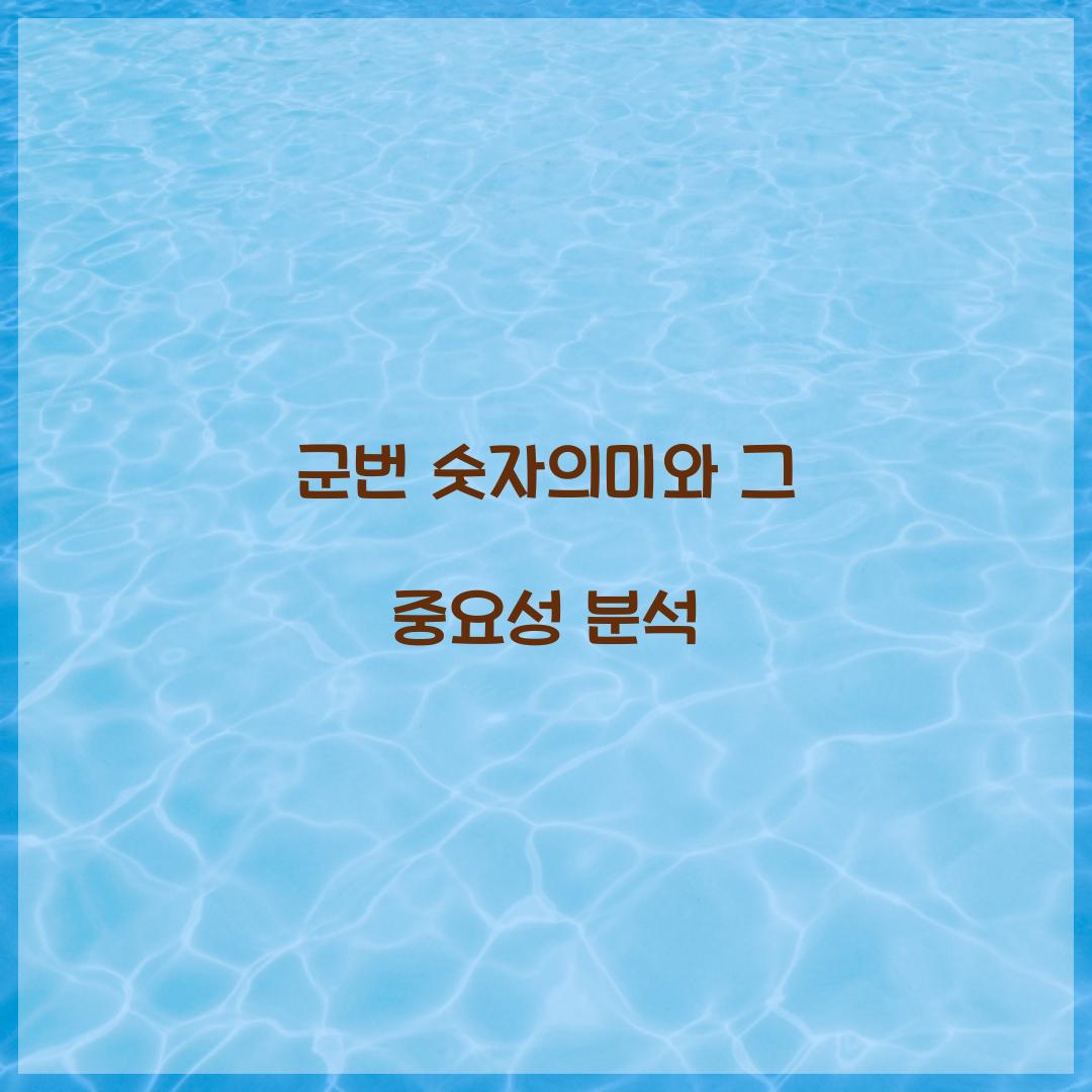 군번 숫자의미