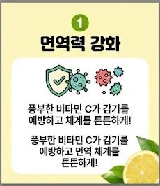 레몬즙 효능