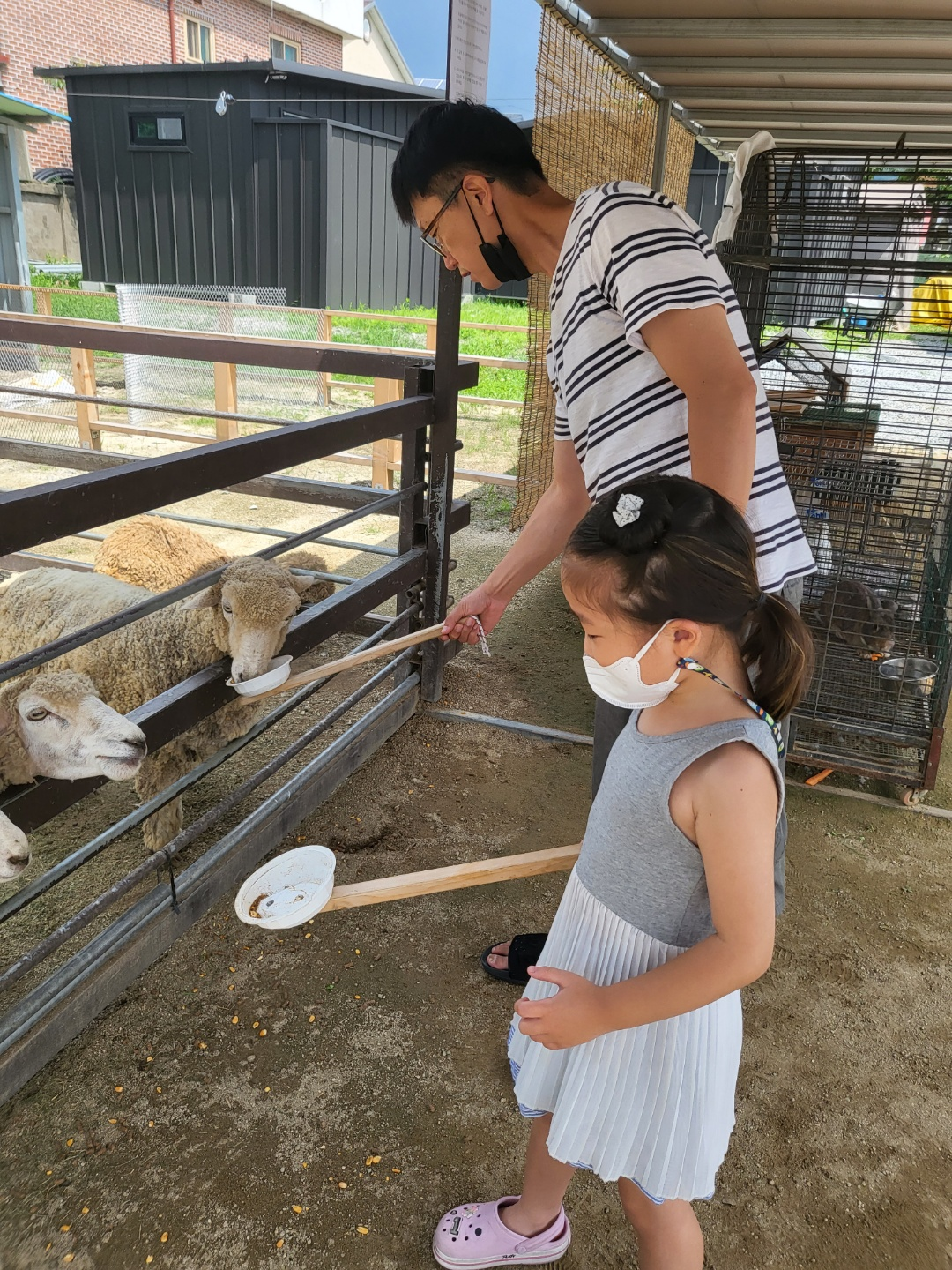 더플레이그라운드