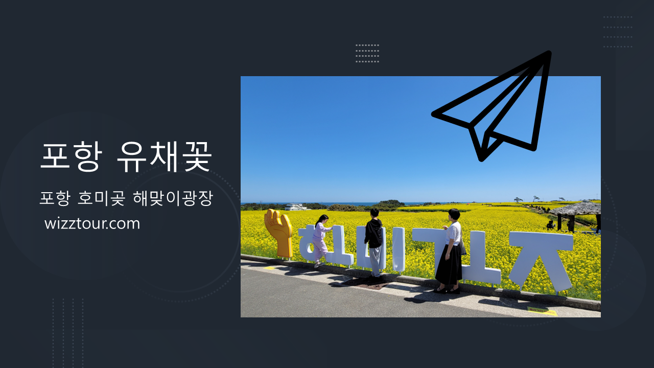 포항 호미곳 해맞이광장에 핀 화려한 유채꽃