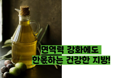 올리브오일 효능