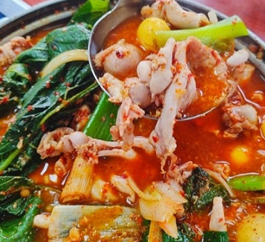 전현무계획-고양-닭내장탕