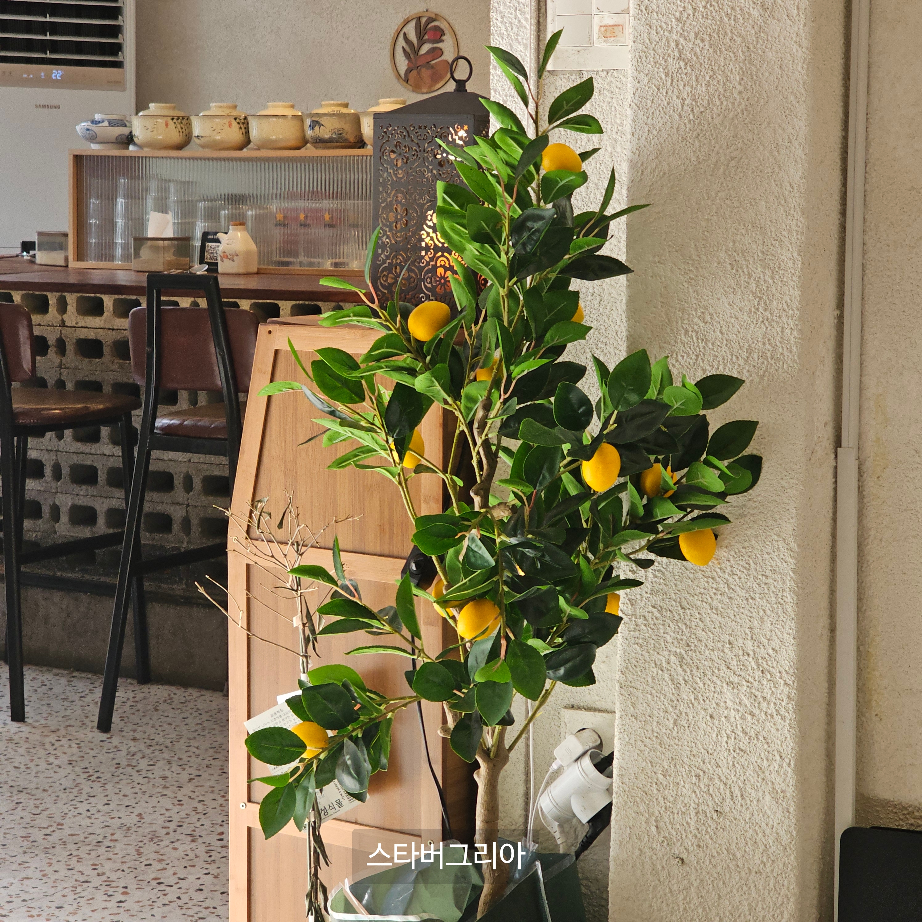 대구 경대북문 맛집 하카타 파스타