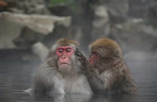 삿포로 온천 여행