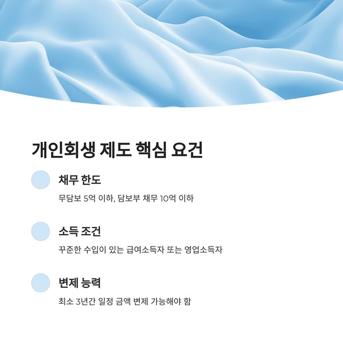 개인회생 자격조건, 절차 기간 면책신청서 요약 이미지