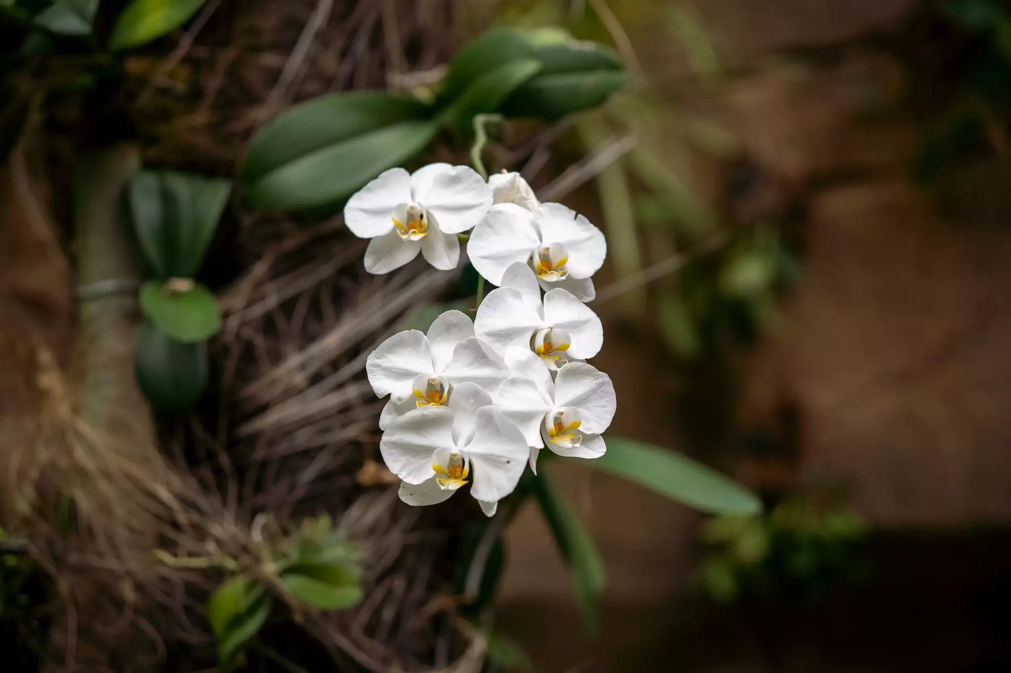 소니-a6400로-찍은-사진