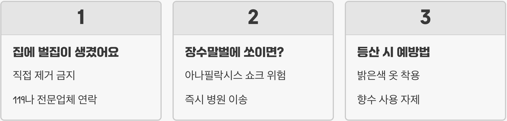 꼬마장수말벌과 장수말벌 차이 비교하며 혼동하지 않는 확실한 구별법