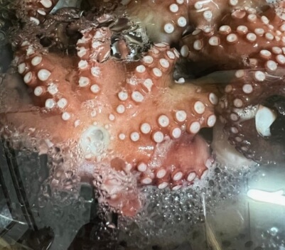 문어삶는법 제대로 알기