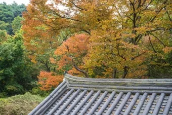 가을 단풍 여행지 베스트10 산책로 사진스팟 대중교통으로 여유롭게_6