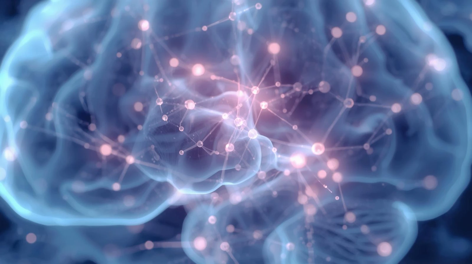 amygdala mindfulness