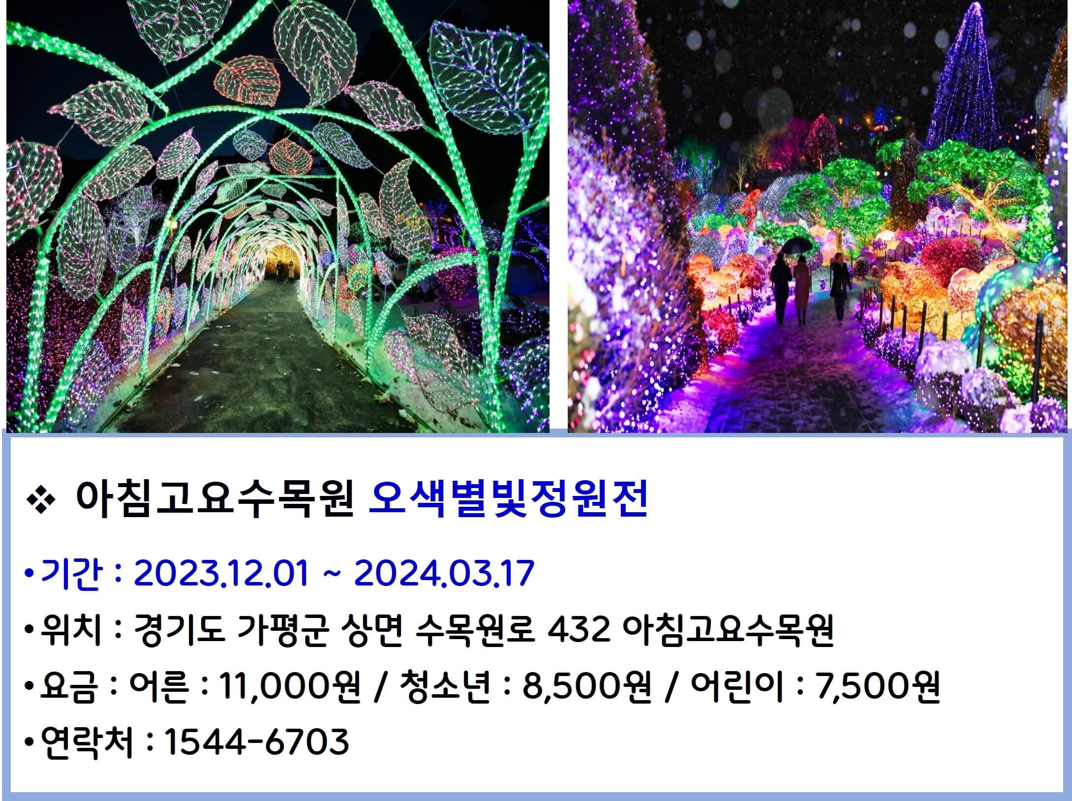 아침고요수목원 오색별빛정원전