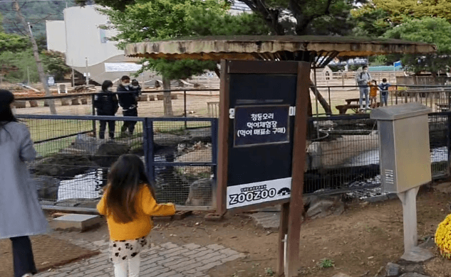 청둥오리-먹이주기체험장