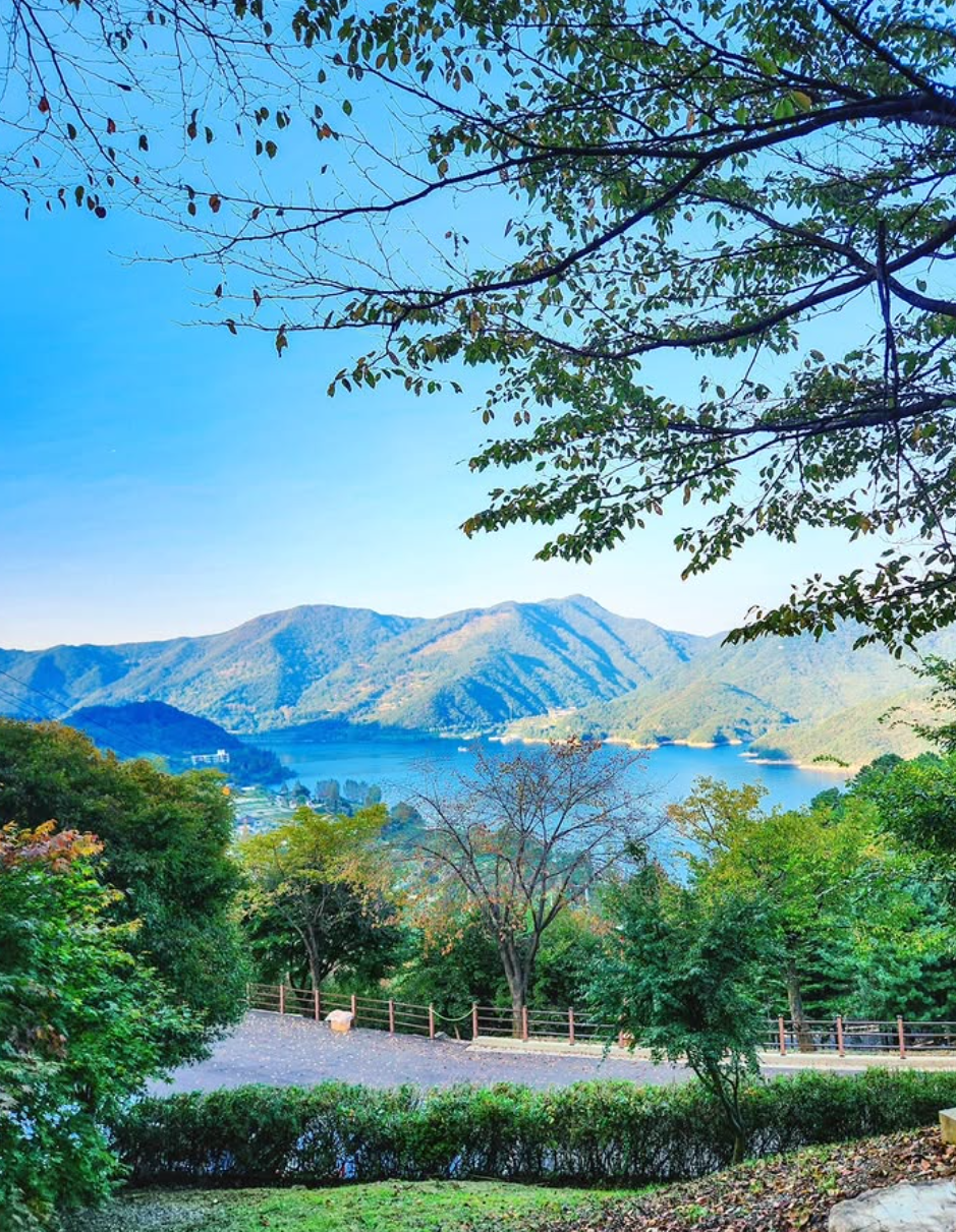 충주 가볼만한곳 베스트10