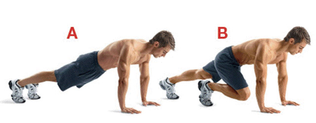 신체 건강 (Physical Wellness) – 운동 루틴 & 홈트레이닝 완벽 가이드