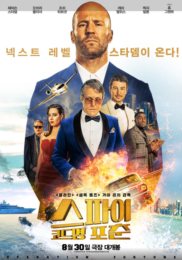 스파이 코드명 포춘