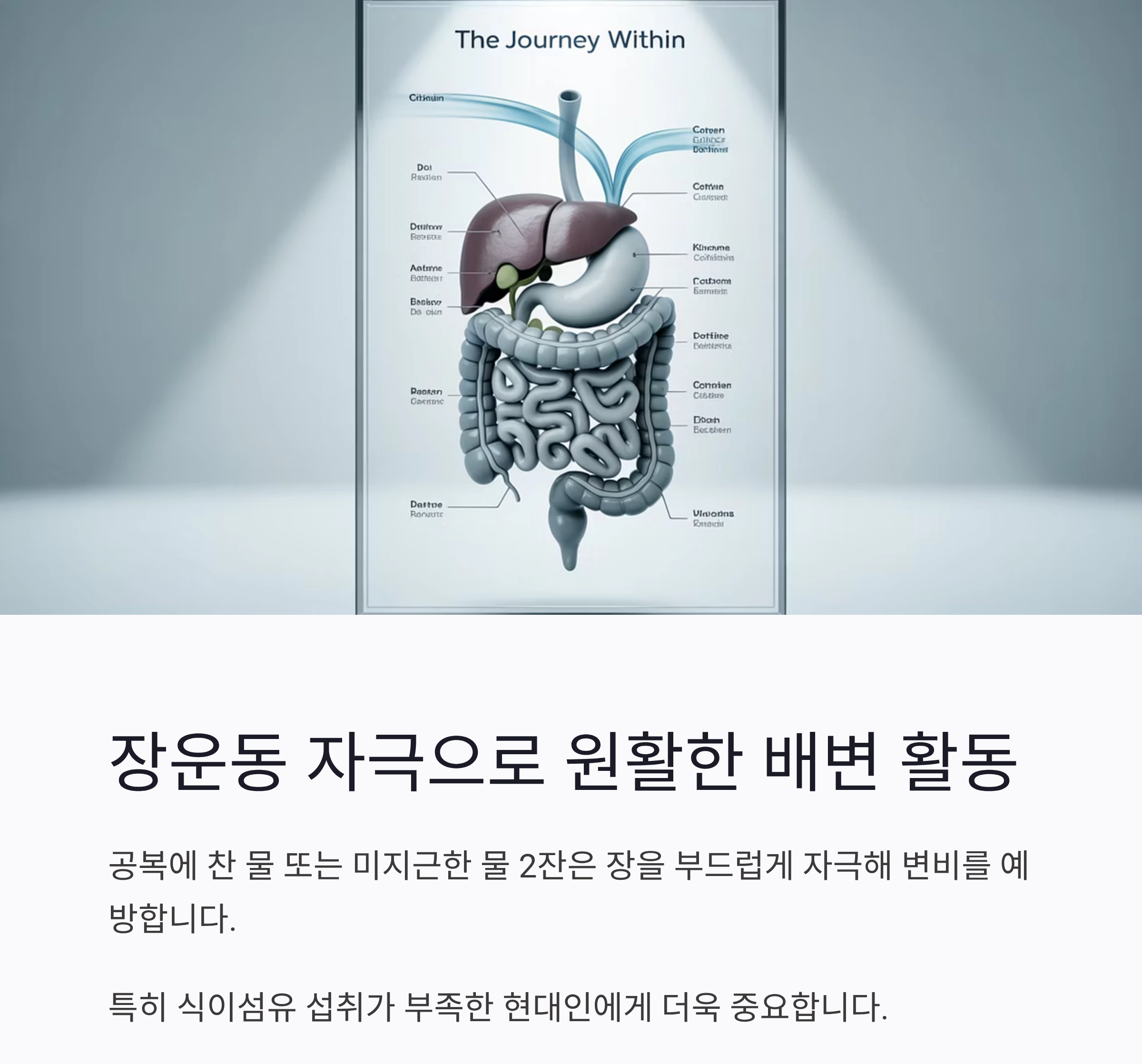 아침 공복에 물 2잔, 몸이 가벼워지는 작은 습관