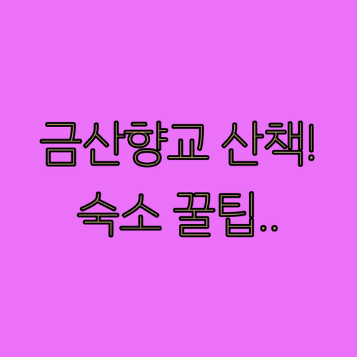 금산향교 역사 산책 코스와 주변 깨끗..