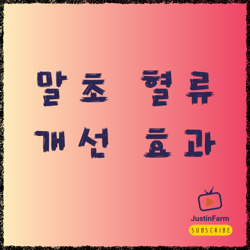 스트레칭이 혈액순환에 도움이 되는 이유, 몸이 따뜻해지는 과학적인 원리