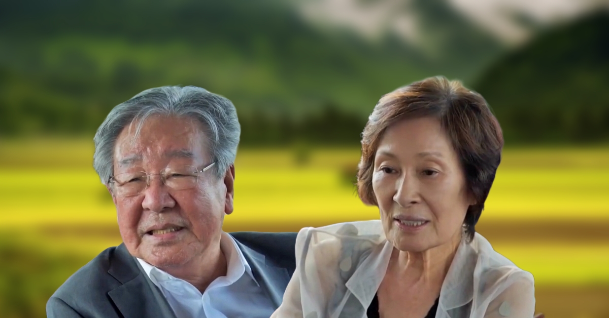 배우 김혜자의 주요 작품과 연기 경력 관련 자료