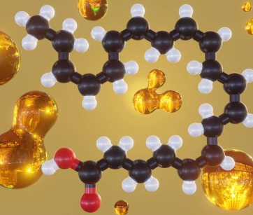폴리코사놀 6가지 효능 및 제품 추천 (+ 쿠바산 장점 부작용 복용법)