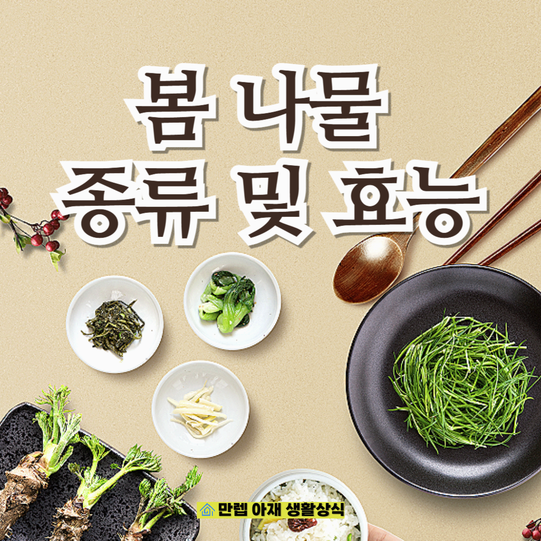 봄 나물 종류 및 효능, 건강 효과 총정리
