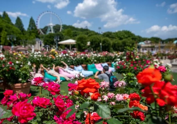 문화가 있는 날 10주년 페스타