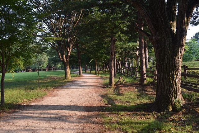남이섬