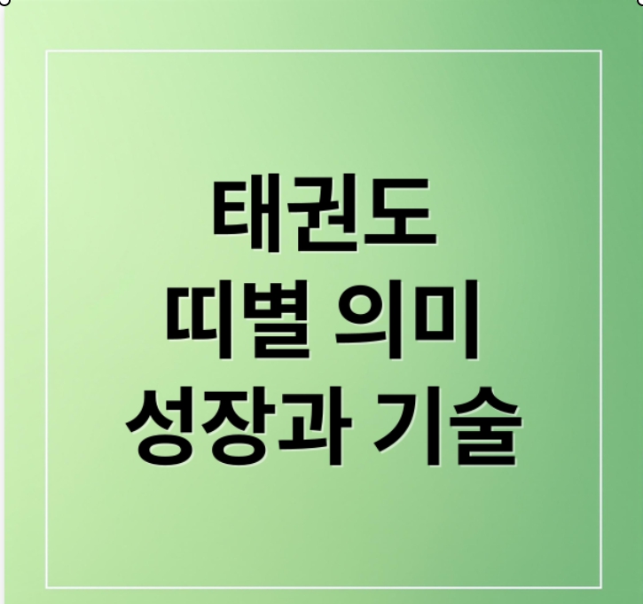 태권도띠 규정