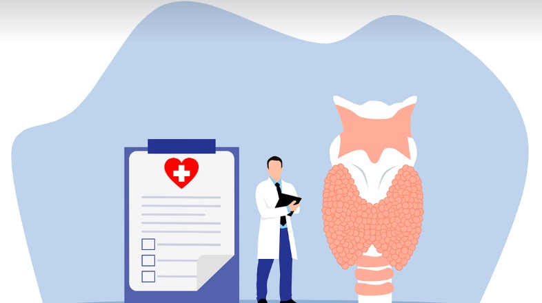 갑상선 기능 항진증의 모습