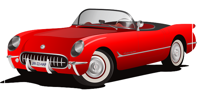 운전면허 적성 검사 준비물 안내2