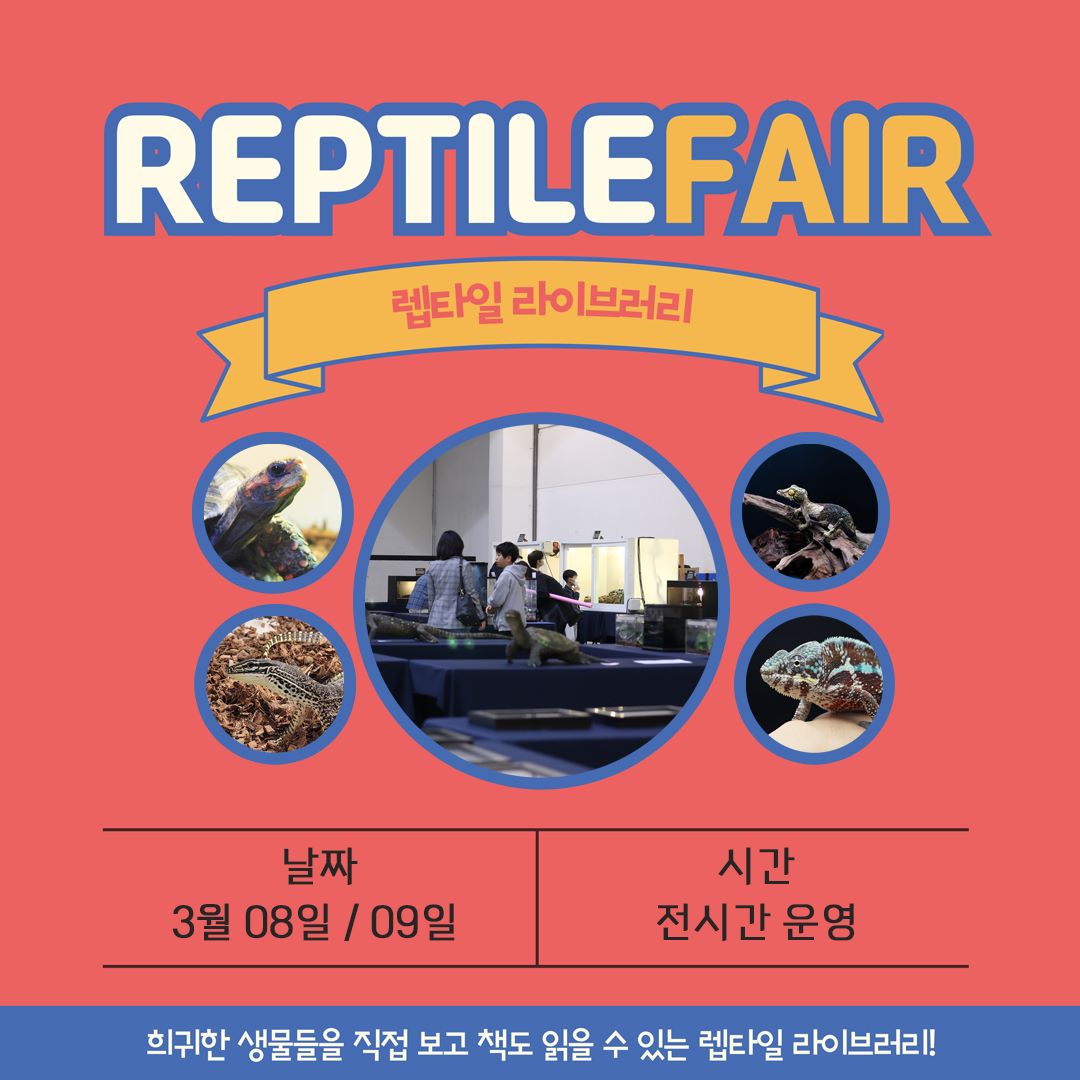 2025 렙타일 페어 라이브러리