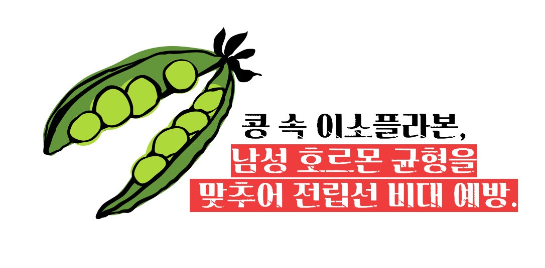 전립선암에 좋은 음식