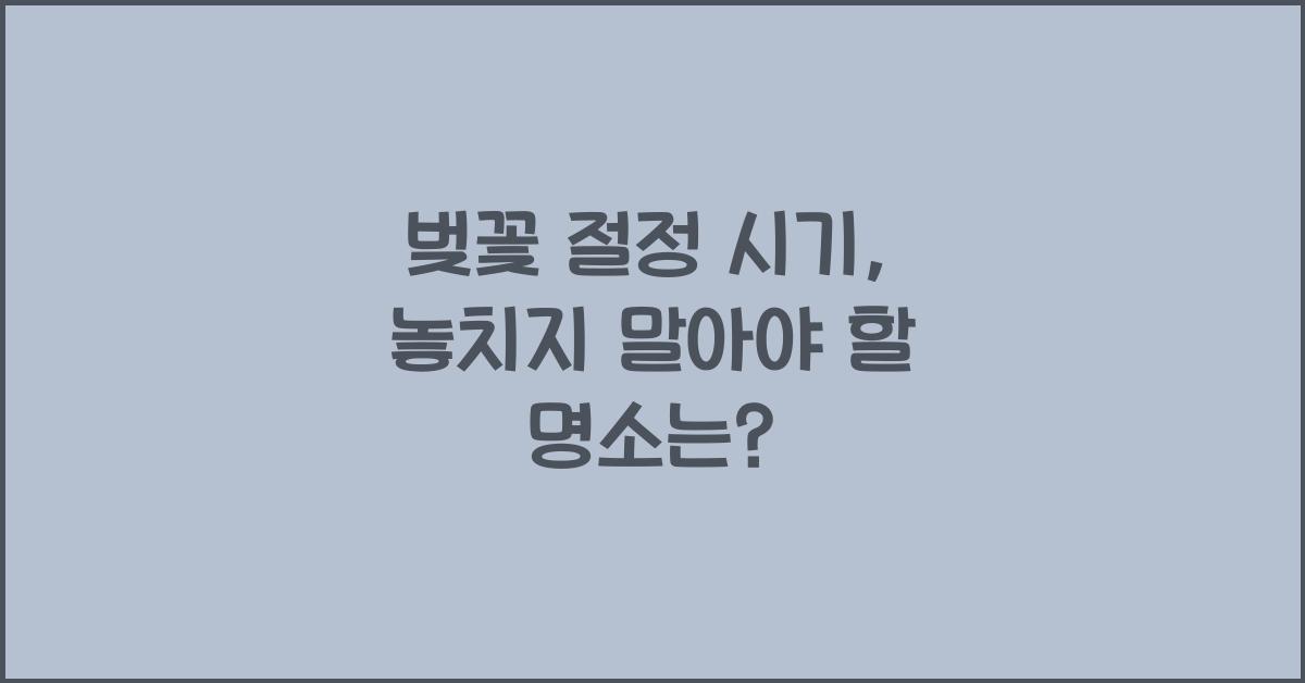 벚꽃 절정 시기