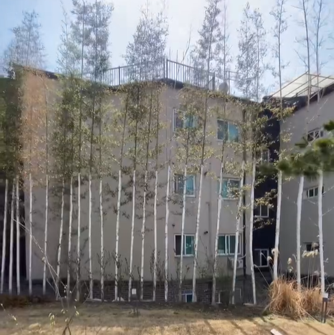 집안에 정원이 있다.