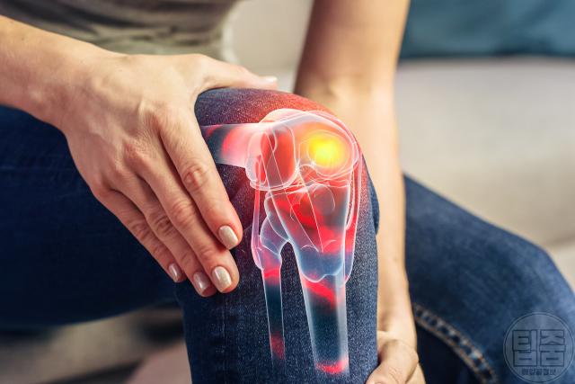 콜라겐 결핍증 부족증상 관절 무릎 통증