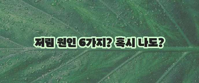 손발 저림 6가지 이유와 자가진단 꼭 확인하세요!